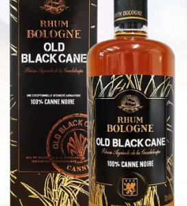 bologne old black cane